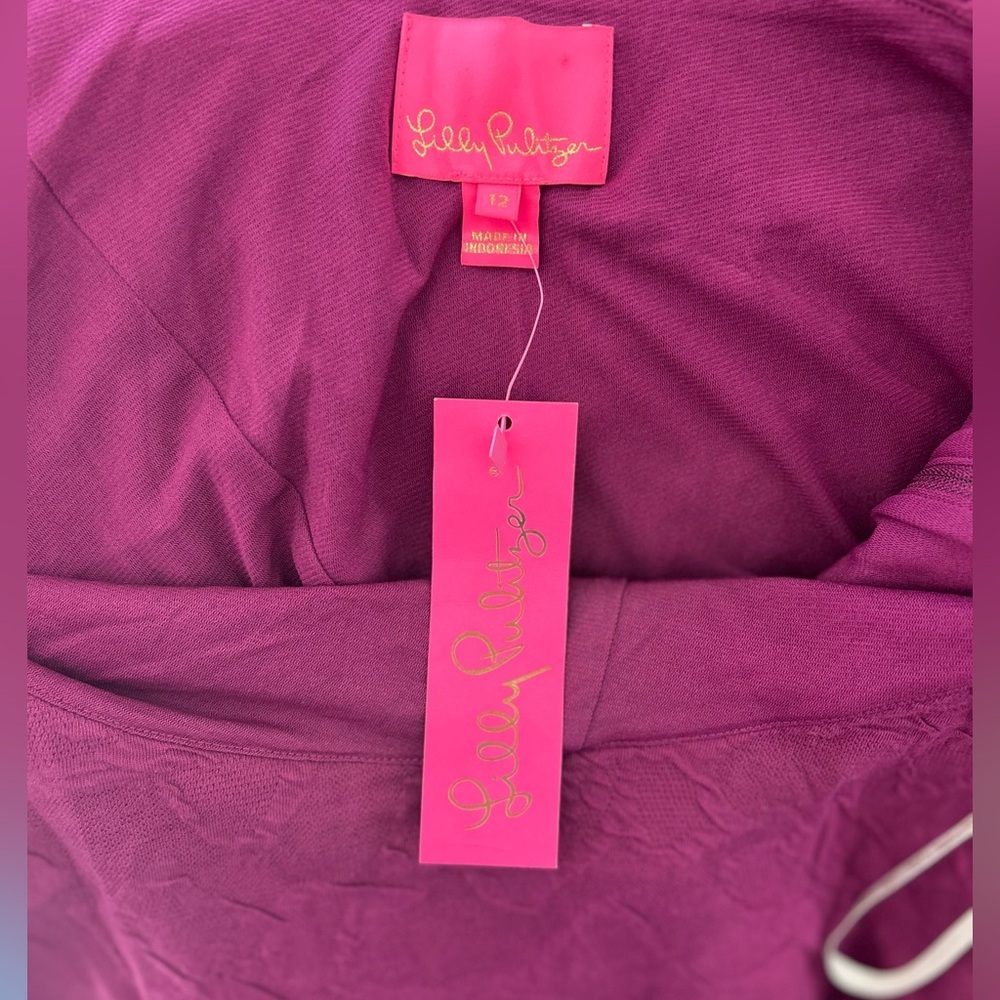 NWT LILLY PULITZER Bordeaux One Shoulder Ruffle Dress Amarena Cherry Size 12 - Picture 6 of 10